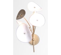 Бра-светильник Rivoli Albertina 4124402 настенный 2 х Е14 40 Вт дизайн Б0068090