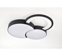 Светильник потолочный светодиодный Rivoli Aliona 6161702 LED 68 Вт 3000 6000 К с пультом Б0066452