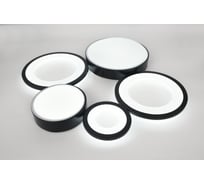 Светильник потолочный светодиодный Rivoli Aliona 6161201 LED 110 Вт 3000 6000 К с пультом Б0066468