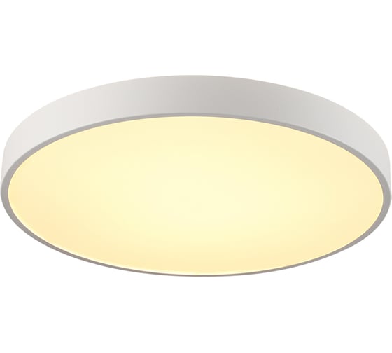 Потолочный светильник СОНЕКС QUASAR LED 60W 10W 7755/70L