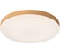 Потолочный светильник СОНЕКС GAMMA LED 50W 7761/50L 4