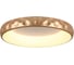 Потолочный светильник СОНЕКС LACUNA LED 56W 7771/56L 6