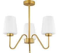 Люстра LUMION OLIVIA на штанге, стекло, E27, 3х60W 3791/3C