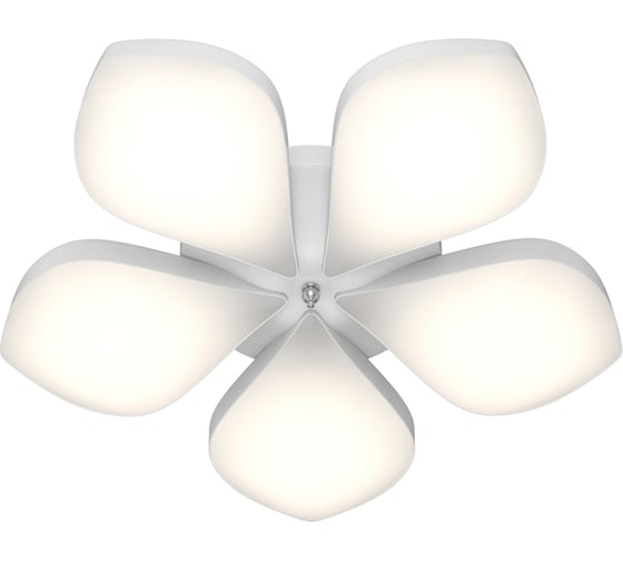 Потолочная люстра LUMION GABRIELLA акрил, LED, 60W 3645/60CL