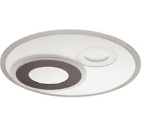 Потолочная люстра LUMION MILLY акрил, LED, 85W 4501/85CL