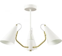 Потолочная люстра LUMION WATSON металл, E14, 3х40W 4439/3C