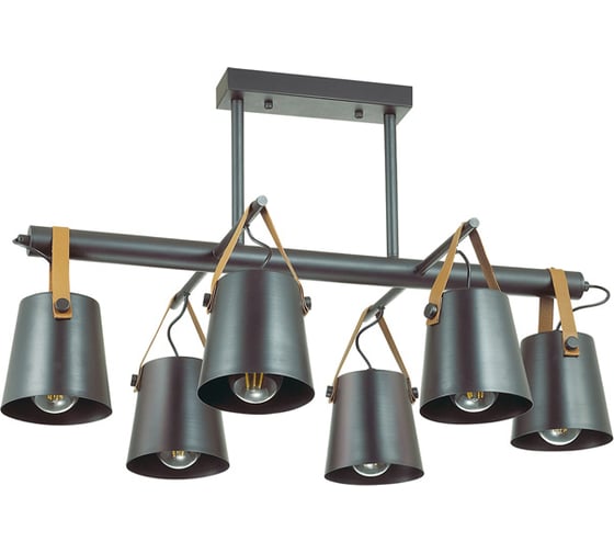 Потолочная люстра LUMION TRISTEN металл, E27, 6х60W 3641/6C 1