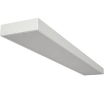 Аварийный светильник DIODEX Led Офис Гант 55Вт 3000К, Опаловый, Белый, 3ч. 4603789918045