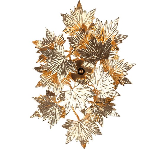 Настенный светильник Omnilux OML-85501-05 1