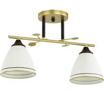 Потолочная люстра LUMION BECKY стекло, E27, 2х60W 4544/2C