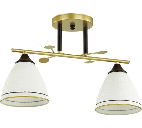 Потолочная люстра LUMION BECKY стекло, E27, 2х60W 4544/2C 1