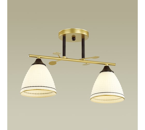 Потолочная люстра LUMION BECKY стекло, E27, 2х60W 4544/2C