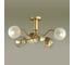 Потолочная люстра LUMION CANDICE стекло, E14, 6х40W 4555/6C 2