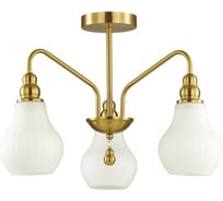 Потолочная люстра LUMION ELEONORA стекло, E27, 3х60W 4562/3C