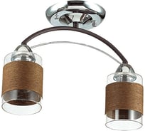Потолочная люстра LUMION FILLA стекло, E27, 2х60W 3030/2C