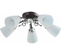 Люстра POWERLIGHT ENDO 5хE14х40W венге 1-018650