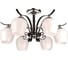 Люстра POWERLIGHT PRINCE 6хЕ27х60W 1-011860 1