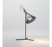 Настольный светильник Eurosvet Enigma со стеклянным плафоном 01186/1 черный a069059