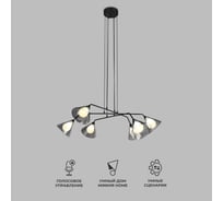 Подвесной светильник Eurosvet Enigma со стеклянными плафонами 70161/6 черный a069046