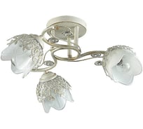 Потолочная люстра LUMION FLORANA стекло, E14, 3х40W 3002/3C