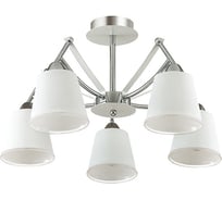 Потолочная люстра LUMION HADRINNA стекло, E14, 5х60W 3449/5C