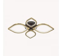 Потолочная люстра LUMION HONEY LED, 116W, металл, акрил 4580/99CL