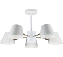 Потолочная люстра IMEX MD.9130-5-S WH+AB