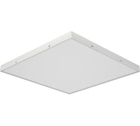 Светильник DIODEX Led Мед Стандарт 55Вт 3000К, Опаловый, Белый, Аварийный 3ч. 4603789787115