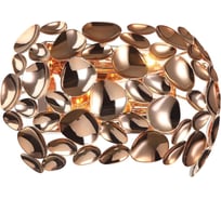 Настенный светильник Favourite 2013-2W