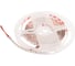 Светодиодная лента LOFT IT 5m, 14W/m, 24V, 4000K, IP20 Strip 10363/18020 NW 1