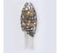 Настенный светильник Crystal Lux Fashion AP2 1