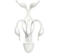 Бра Lightstar 751656