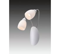 Бра Favourite 1042-2W