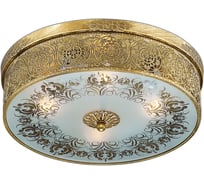 Люстра ODEON LIGHT, потолочная, стекло E27 4х60W ASTER 2782/4C