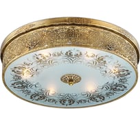 Люстра ODEON LIGHT, потолочная, стекло E27 6х60W ASTER 2782/6C