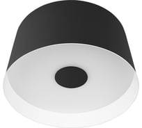 Потолочный светодиодный светильник LOFT IT Duo 10360S Black