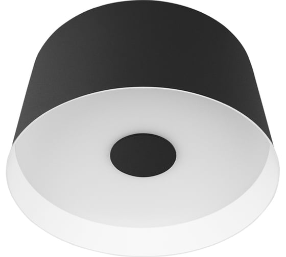 Потолочный светодиодный светильник LOFT IT Duo 10360S Black