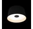 Потолочный светодиодный светильник LOFT IT Duo 10360S Black 2