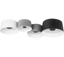 Потолочный светодиодный светильник LOFT IT Duo 10360/4