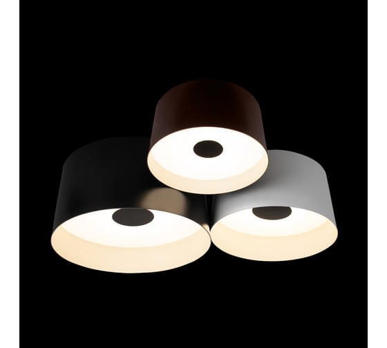 Потолочный светодиодный светильник LOFT IT Duo 10360/3