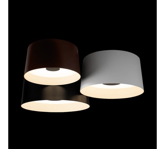 Потолочный светодиодный светильник LOFT IT Duo 10360/3