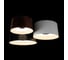 Потолочный светодиодный светильник LOFT IT Duo 10360/3 4