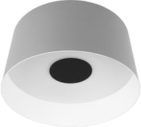 Потолочный светодиодный светильник LOFT IT Duo 10360M Grey