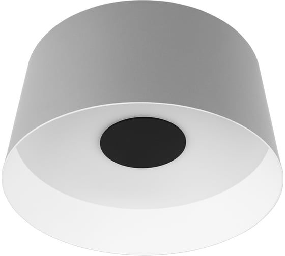 Потолочный светодиодный светильник LOFT IT Duo 10360M Grey 1