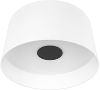 Потолочный светодиодный светильник LOFT IT Duo 10360L White