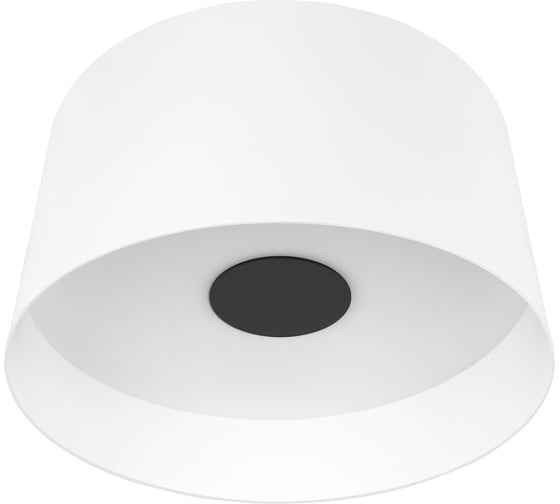 Потолочный светодиодный светильник LOFT IT Duo 10360L White 1