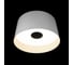 Потолочный светодиодный светильник LOFT IT Duo 10360L White 2
