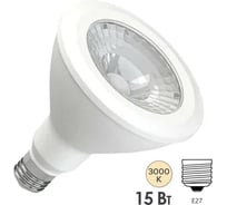 Лампа FL-LED PAR30 15W 220V E27 3000K 1300Лм FOTON_LIGHTING 612847