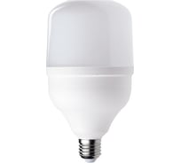 Лампа FL-LED T125 50W E27 3000К 5000Lm 180В-240V D125x213 FOTON_LIGHTING 614797