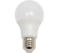 Лампа FL-LED A60 9W E27 6400К 220В 860Лм 60x109мм FOTON_LIGHTING 611420